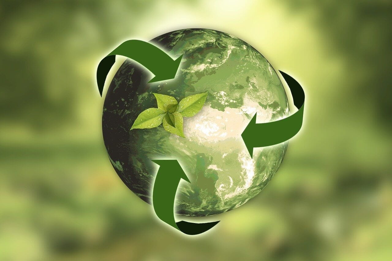 Sustainability in the Metaverse